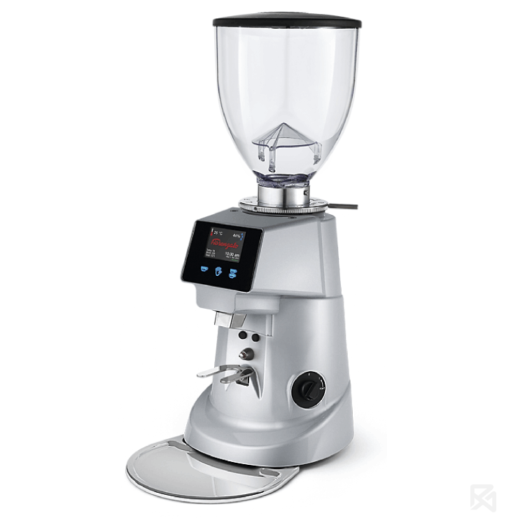 Кофемолка Fiorenzato F64 E EVO серая